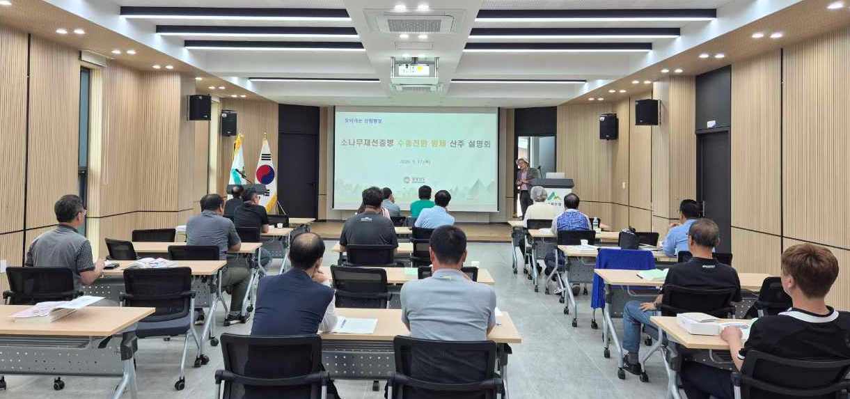 “산주와 함께 재선충병 막는다” 경남도, 수종전환 방제 800ha 이상 확대